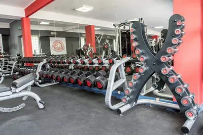 Lokalna33 Gym&Fitness